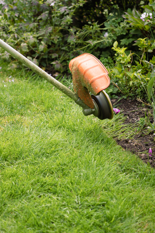 Rose Above - Strimming